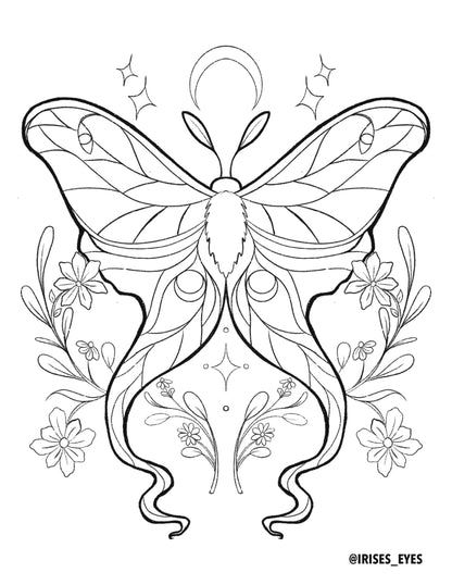 Luna Moth Coloring Sheet Digital Download