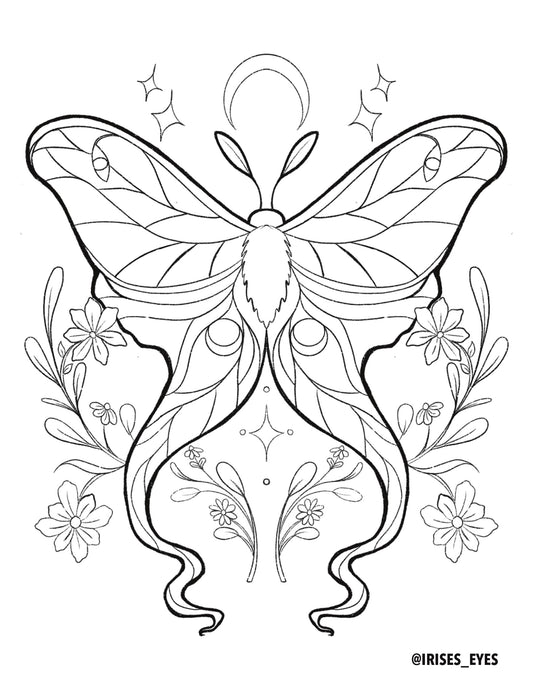 Luna Moth Coloring Sheet Digital Download